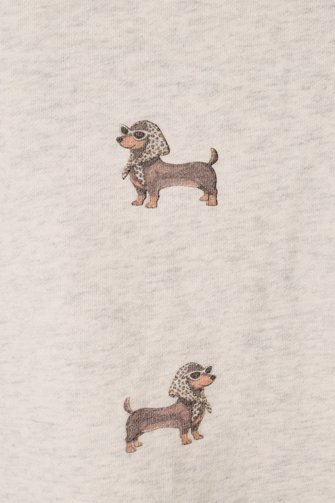 Dachshund Lounge Crew