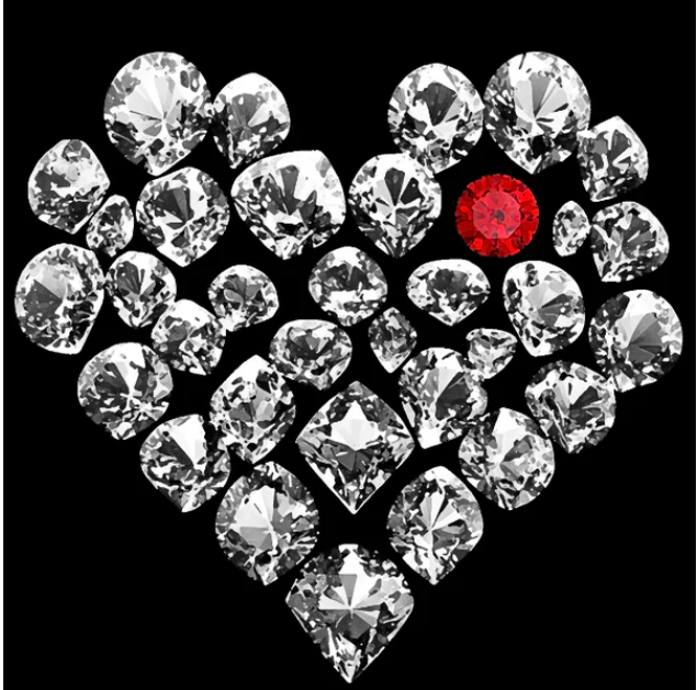 True Love Mushie Tee