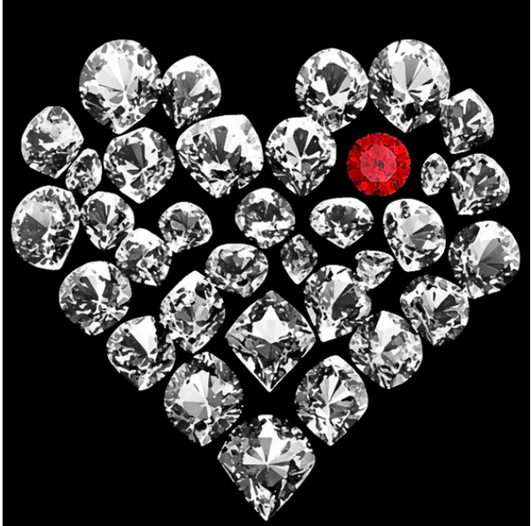 True Love Mushie Tee
